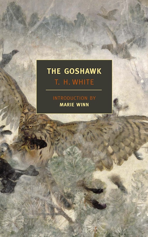 Front cover_The Goshawk