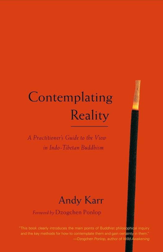Couverture_Contemplating Reality