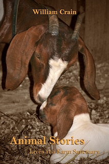 Front cover_Animal Stories