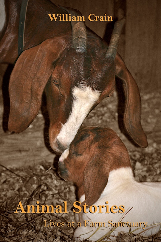 Front cover_Animal Stories