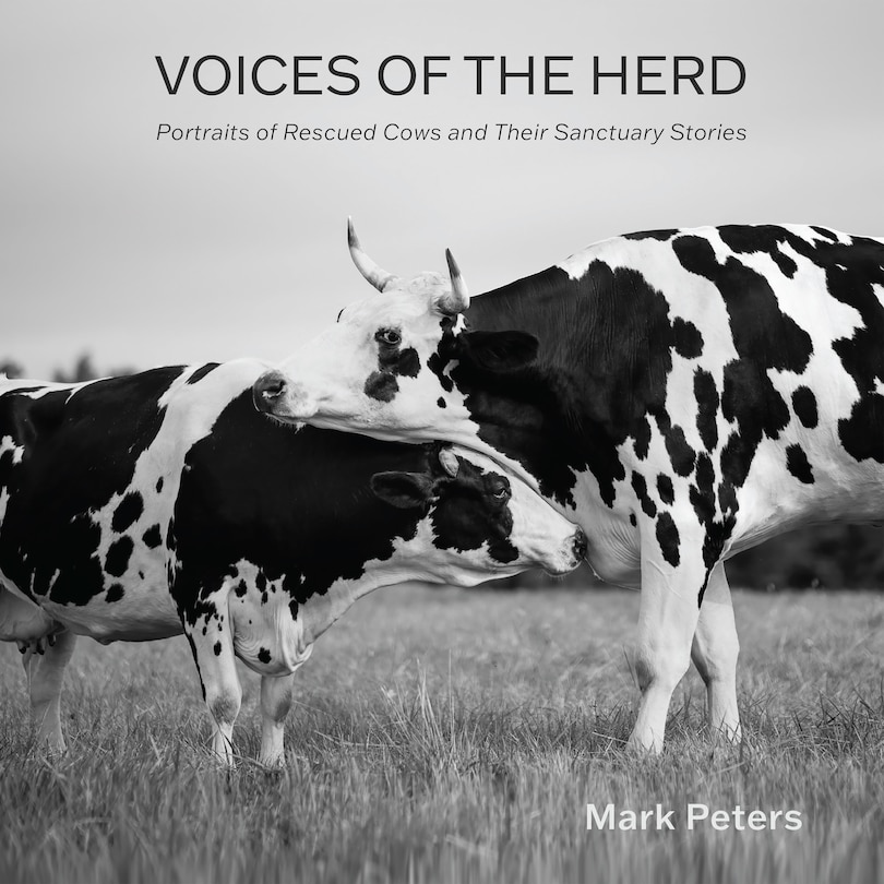 Couverture_Voices of the Herd