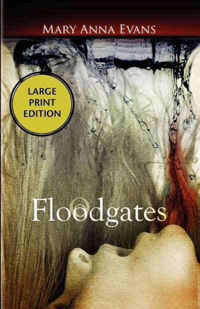 Front cover_Floodgates