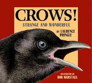 Front cover_Crows!