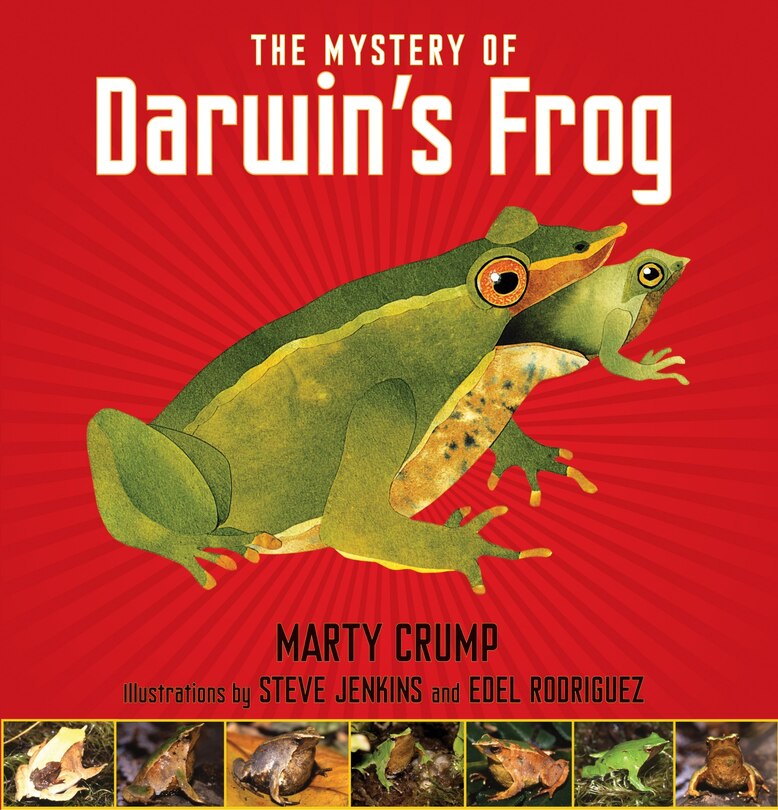 Couverture_The Mystery of Darwin's Frog