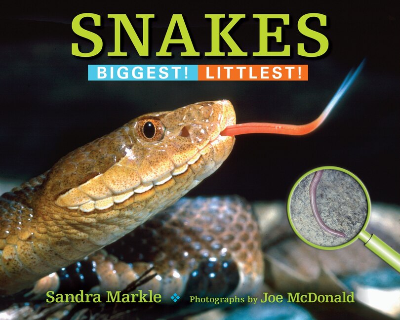 Snakes: Biggest! Littlest!