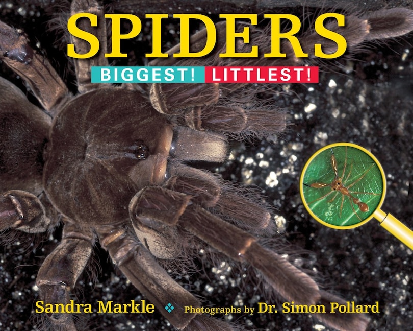 Couverture_Spiders