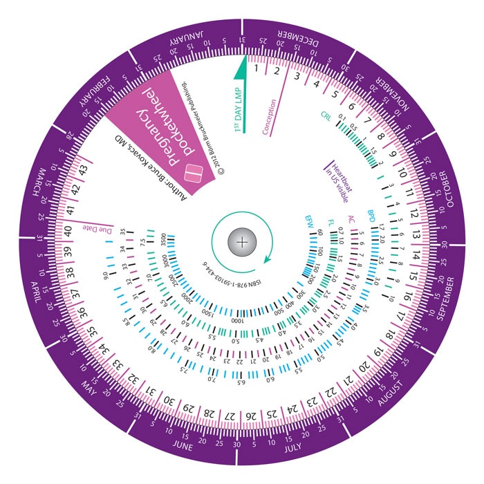 Front cover_Pregnancy Wheel Pocketcard Set