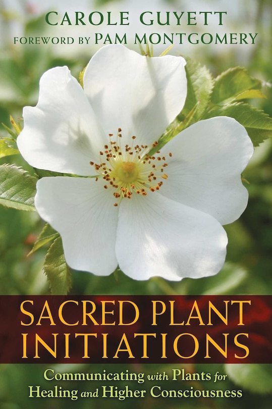 Front cover_Sacred Plant Initiations