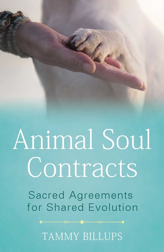 Front cover_Animal Soul Contracts