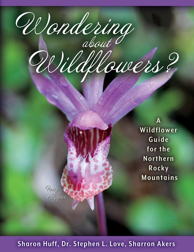 Front cover_Wondering about Wildflowers?