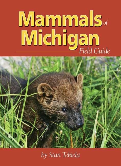 Front cover_Mammals Of Michigan Field Guide