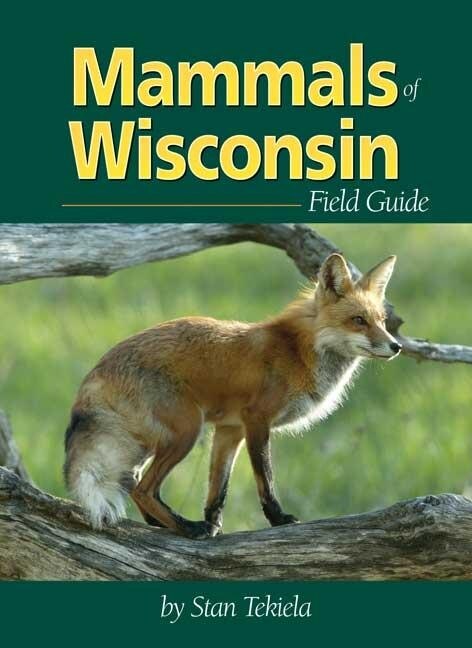 Front cover_Mammals Of Wisconsin Field Guide