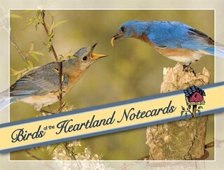 Front cover_Birds Of The Heartland Notecards