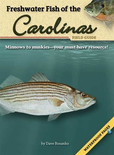 Front cover_Freshwater Fish Of The Carolinas Field Guide