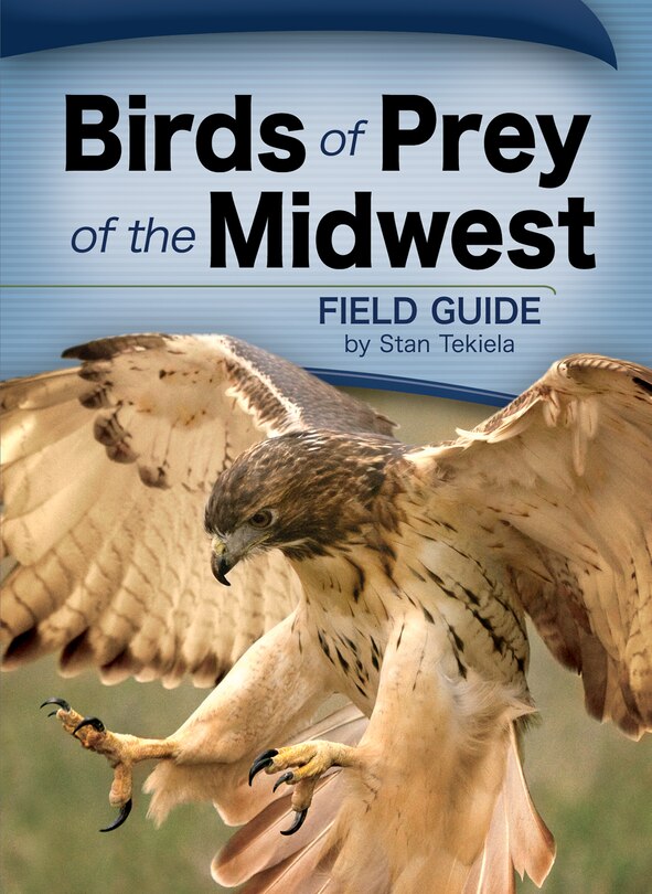 Front cover_Birds Of Prey Of The Midwest Field Guide