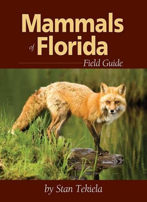 Front cover_Mammals Of Florida Field Guide