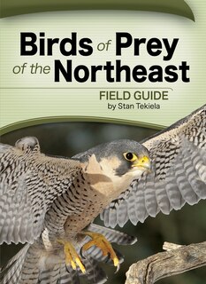 Front cover_Birds Of Prey Of The Northeast Field Guide