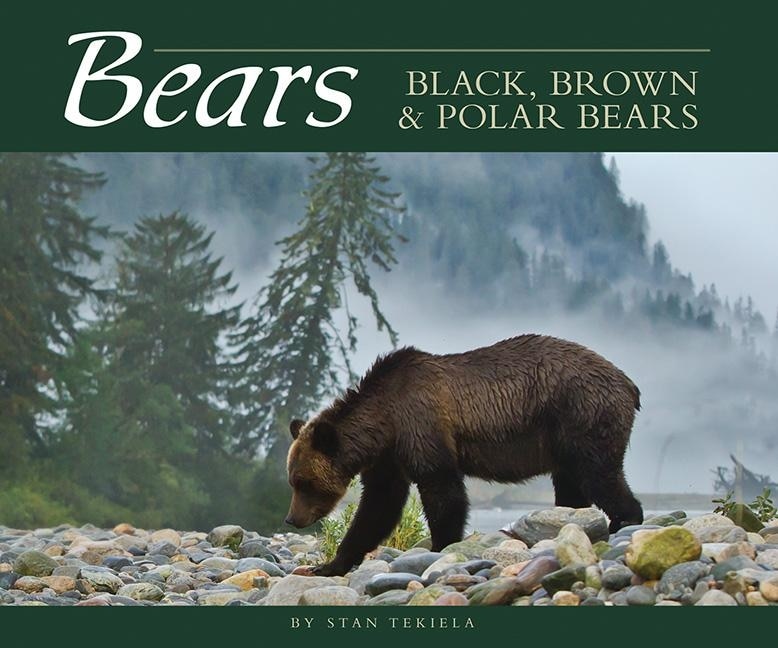 Front cover_Bears
