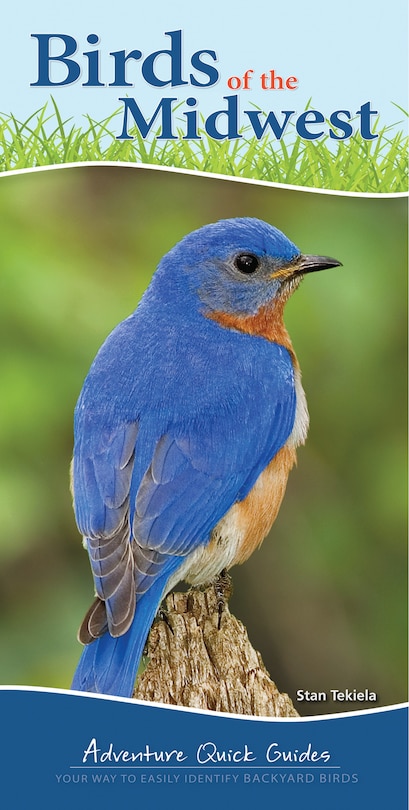 Couverture_Birds Of The Midwest