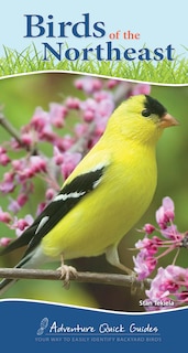 Front cover_Birds Of The Northeast