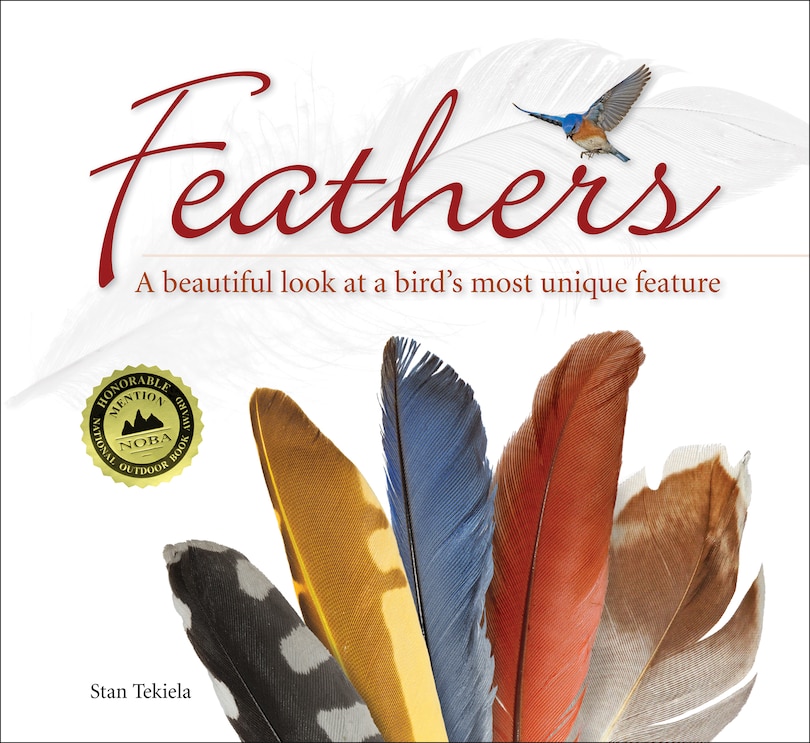 Couverture_Feathers