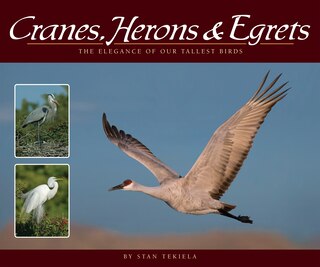 Front cover_Cranes, Herons & Egrets