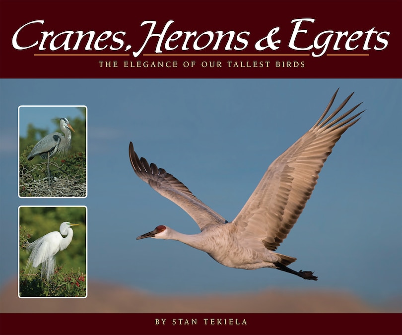 Front cover_Cranes, Herons & Egrets