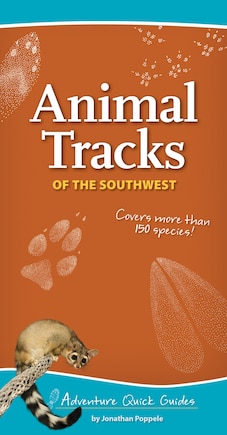 Animal Tracks Of The Southwest: Your Way To Easily Identify Animal Tracks