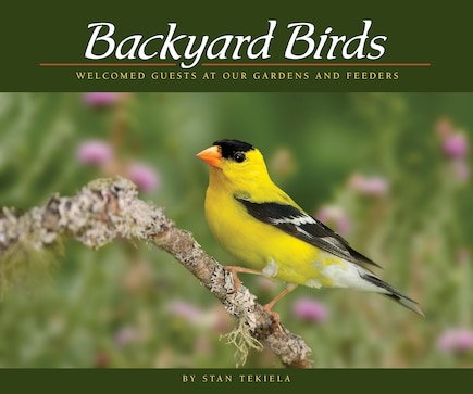 Backyard Birds: Welcomed Guests At Our Gardens And Feeders