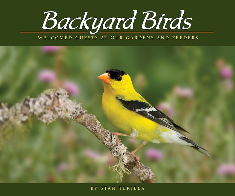 Front cover_Backyard Birds