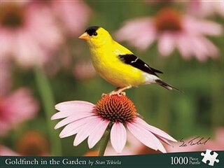 Goldfinch In The Garden