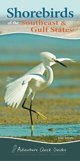 Front cover_Shorebirds Of The Southeast & Gulf States