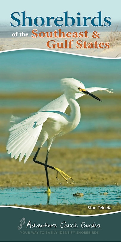 Front cover_Shorebirds Of The Southeast & Gulf States