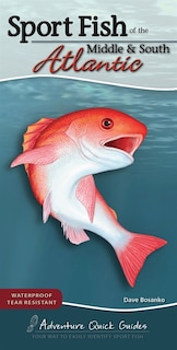 Couverture_Sport Fish of the Middle & South Atlantic