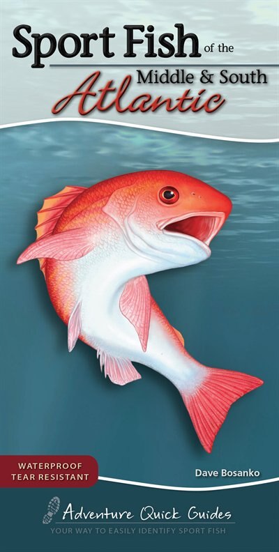 Couverture_Sport Fish of the Middle & South Atlantic