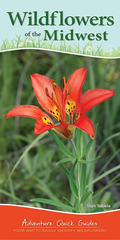 Front cover_Wildflowers Of The Midwest