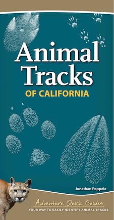 Animal Tracks Of California: Your Way To Easily Identify Animal Tracks