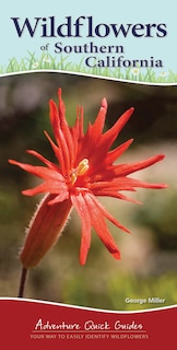 Front cover_Wildflowers Of Southern California