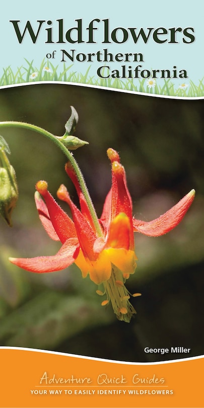 Front cover_Wildflowers Of Northern California