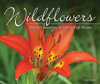 Couverture_Wildflowers