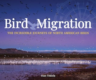 Couverture_Bird Migration