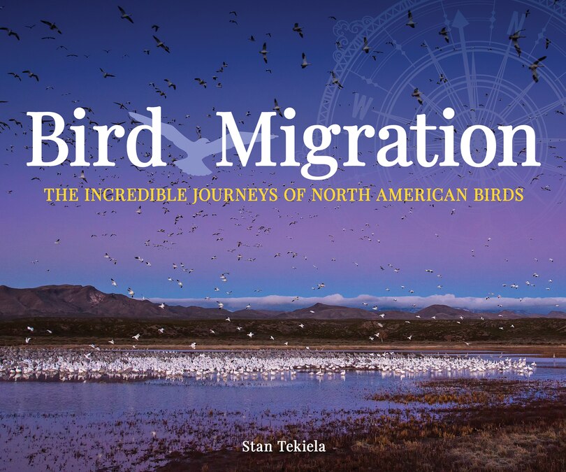 Couverture_Bird Migration