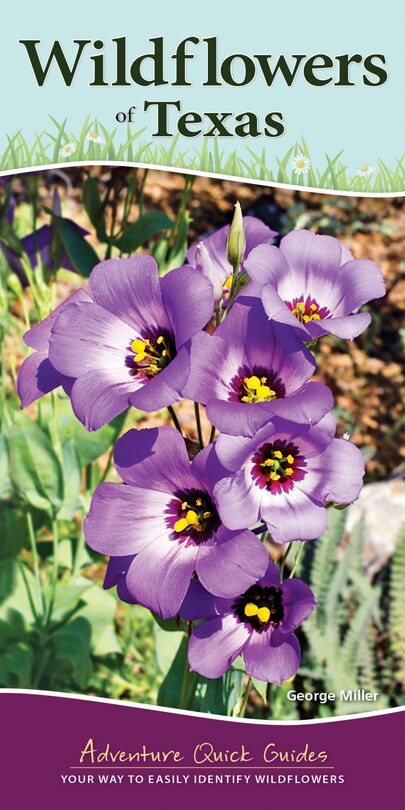 Front cover_Wildflowers Of Texas