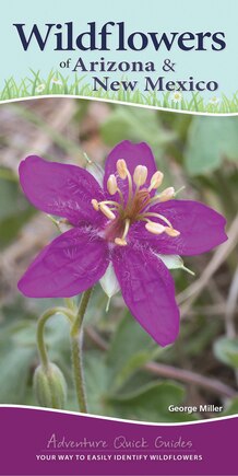 Wildflowers Of Arizona & New Mexico: Your Way To Easily Identify Wildflowers