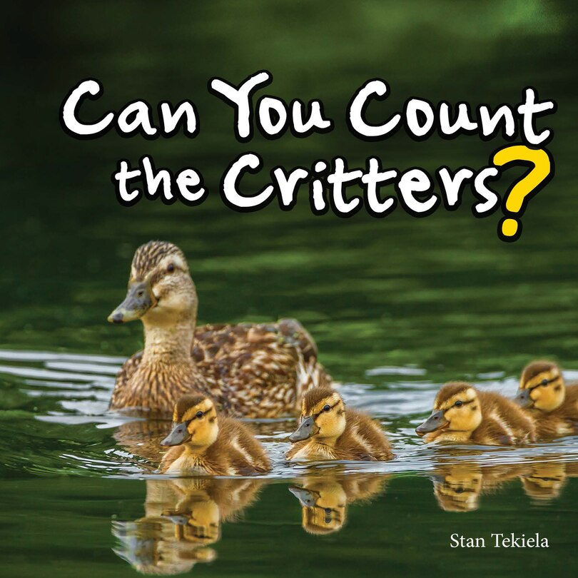 Can You Count The Critters? image number 0