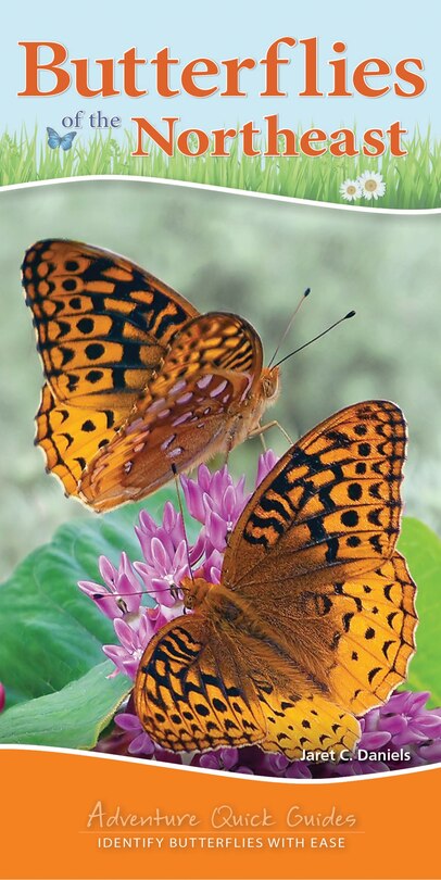 Front cover_Butterflies Of The Northeast