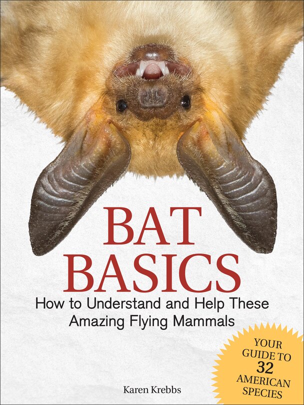 Couverture_Bat Basics