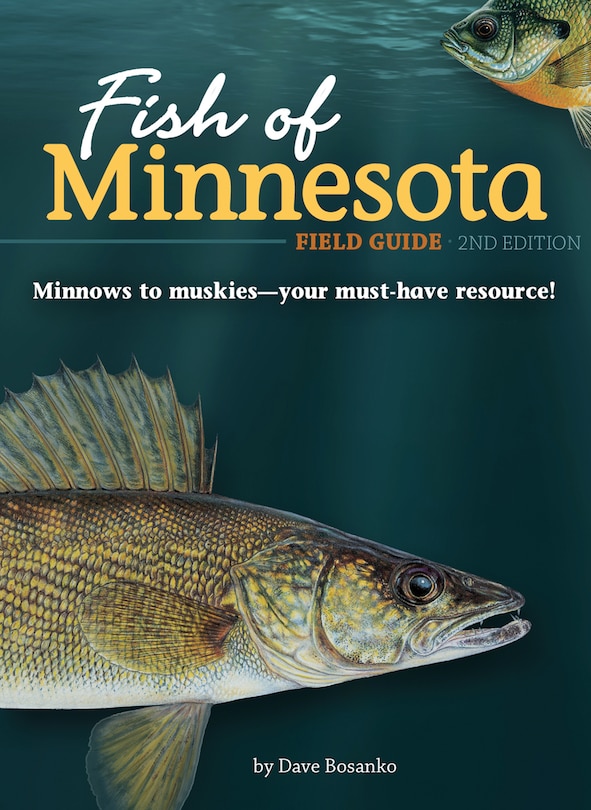 Couverture_Fish Of Minnesota Field Guide