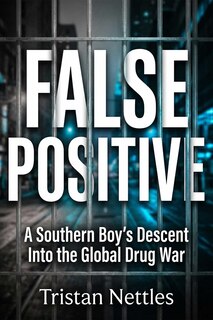 Couverture_False Positive