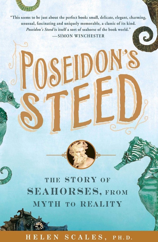 Poseidon's Steed: The Story Of Seahorses, From Myth To Reality